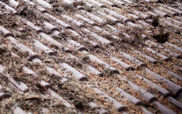 Moorhole roof cleaning companies