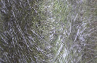 Moorhole fibreglass roof work